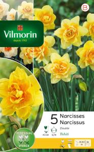 Narcisse Tahiti (x5)